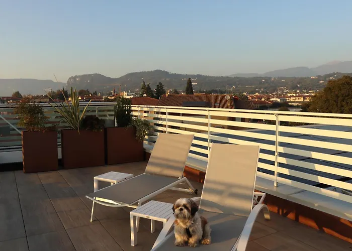 Domus Aurus Luxury Apartment