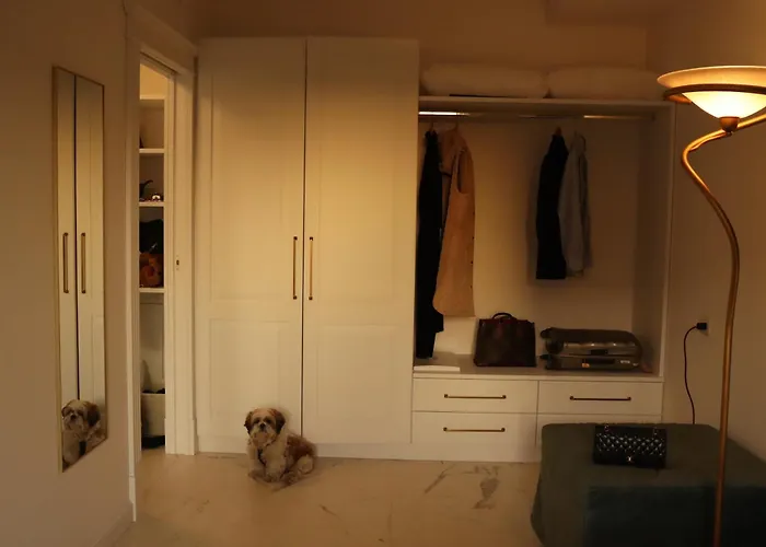 Apartment Domus Aurus Luxury