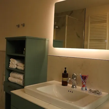 Apartment Domus Aurus Luxury