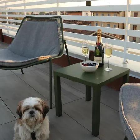 Domus Aurus Luxury شقة باردولينو